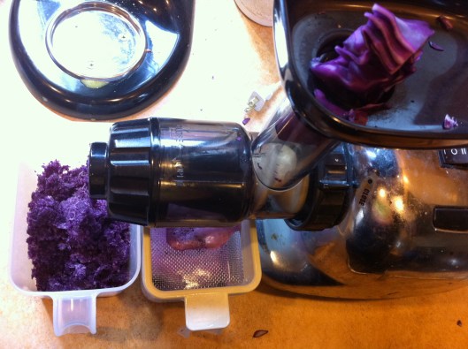 Gazpacho - Juicing The Cabbage Juicing The Cabbage