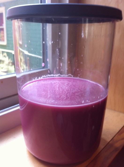 Gazpacho - Finished Product Red Cabbage Gazpacho