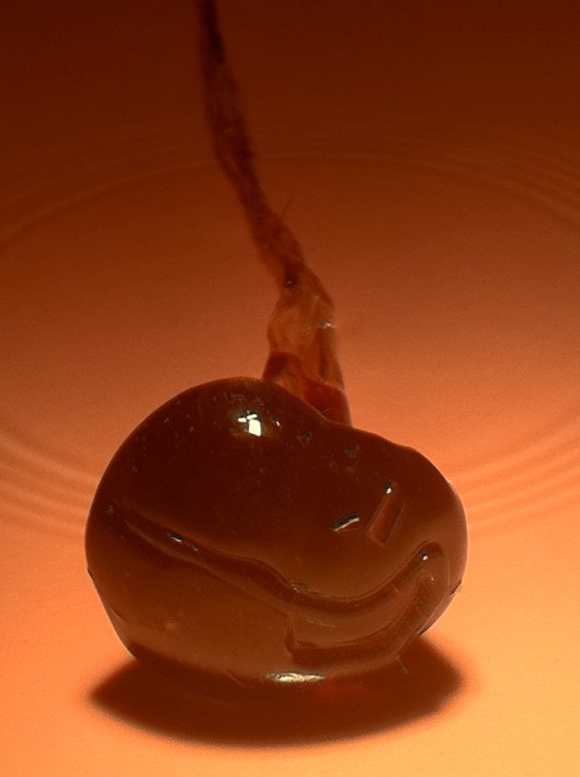 Pumpkin Oil Sweet Closeup Pumpkin Oil Sweet Closeup