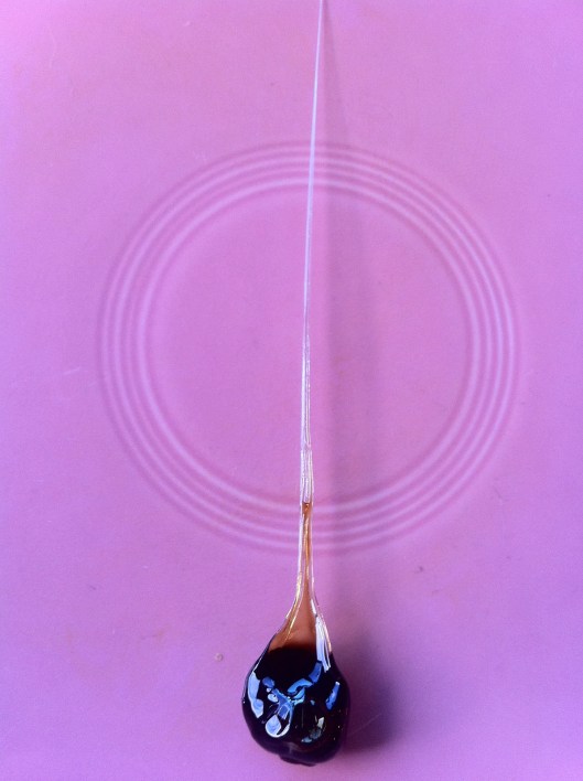 Pumpkin Oil Sweet Pumpkin Oil Sweet