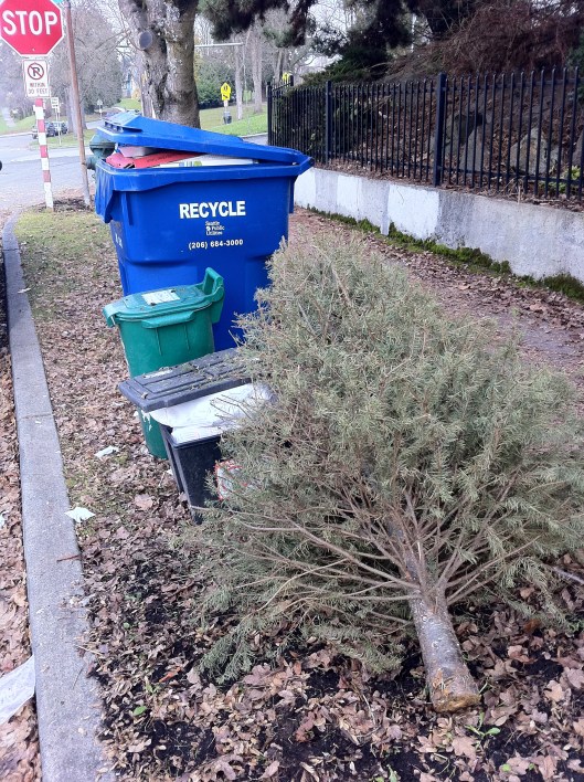 Foraging For Food Urban Food Foraging