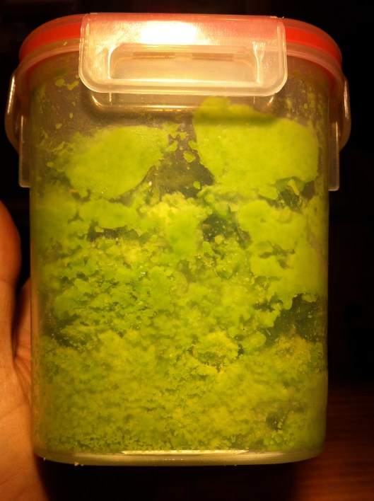 Peas Ready For A Whirl Peas Ready For A Whirl