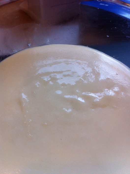 My First Constructed Cheese