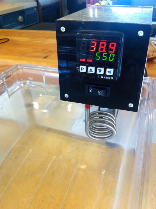 Immersion Circulator