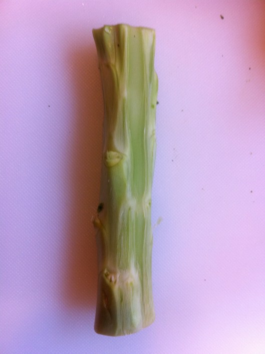 Broccoli Stem Broccoli Stem