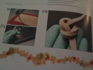 Foie Knot In Modernist Cuisine Foie Knot In Modernist Cuisine