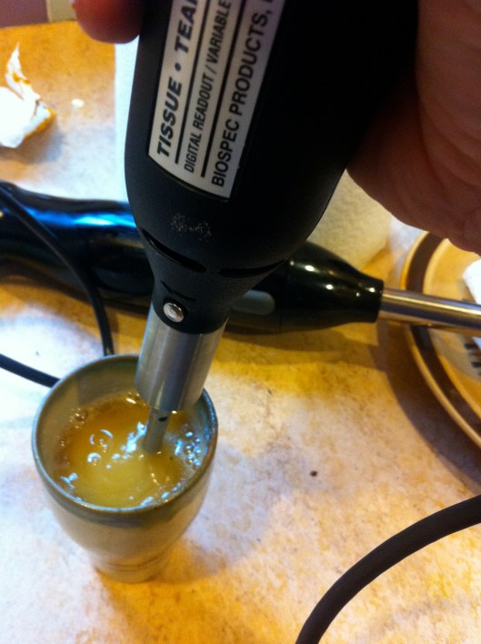 Rotor-Stator Homogenizer In Action Rotor-Stator Homogenizer In Action