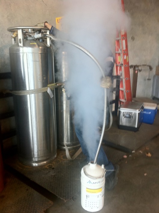 Filling up the dewar