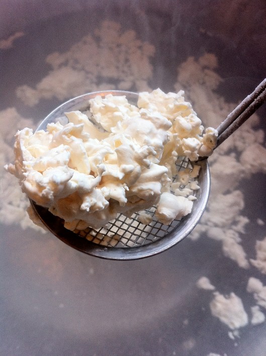 Fresh Frozen Popcorn