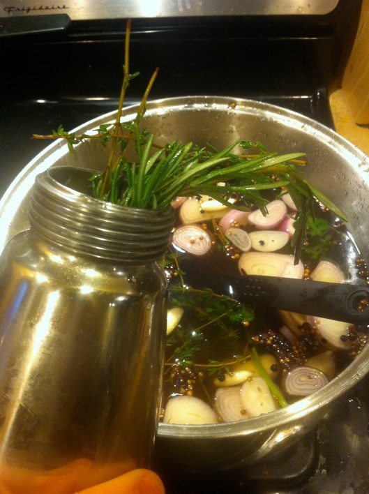 Instant Infusion Of Duck Brine