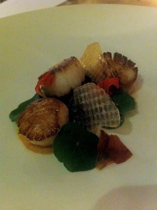 Scallop