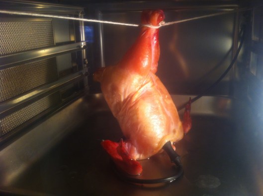 Hen Hangin' In A Home Combi