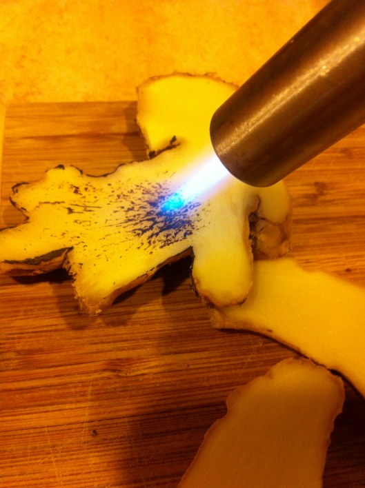 Blow Torchin' Ginger Blow Torchin' Ginger