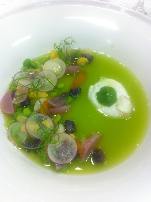 Spring Vegetable Broth