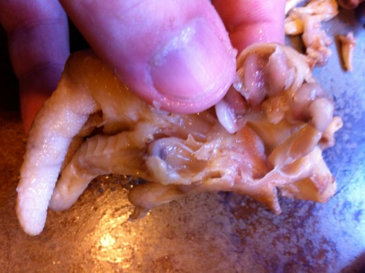 Pulling Out Chicken Feet Bones