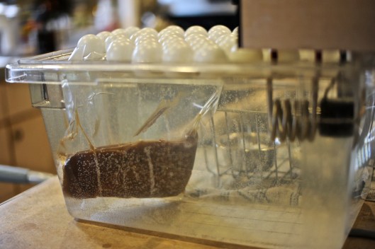 Sous Vide The Flank Sous Vide The Flank