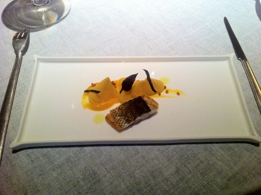 Mountain Trout Mountain Trout