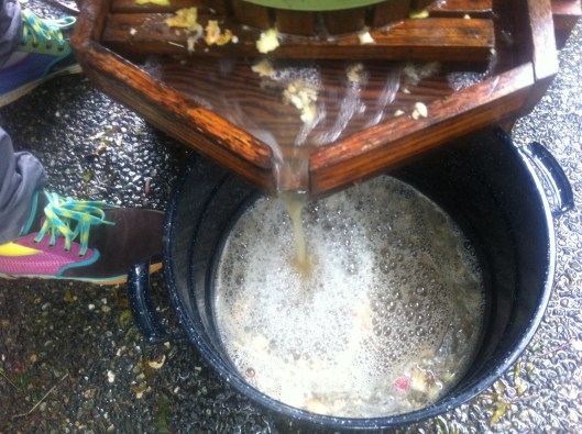 Fresh Apple Cider Fresh Apple Cider