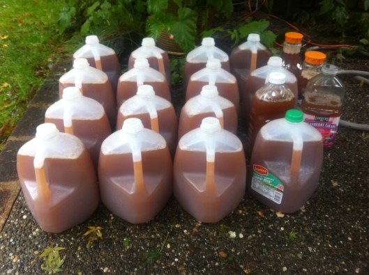 Apple Juice! Apple Juice!