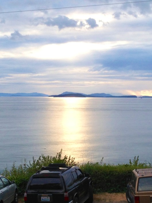 The View From The Willows Inn